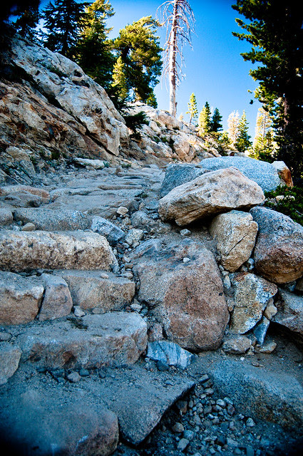 May Lake trail
