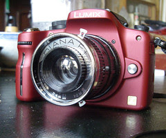 Lumix G1 With Diana+ Lens 3
