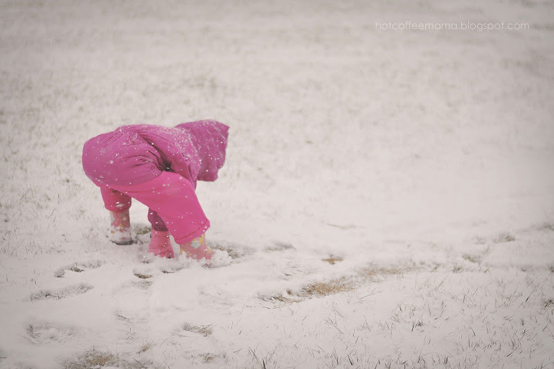 DSC_0155re (800x533)