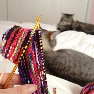 Day140 Knitting and cats! Crazy cat lady in the making! 5.20.13 #jessie365