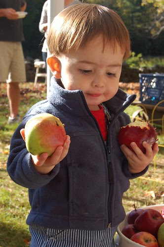 Will selecting apples to eat by Eve Fox, Garden of Eating blog, copyright 2010