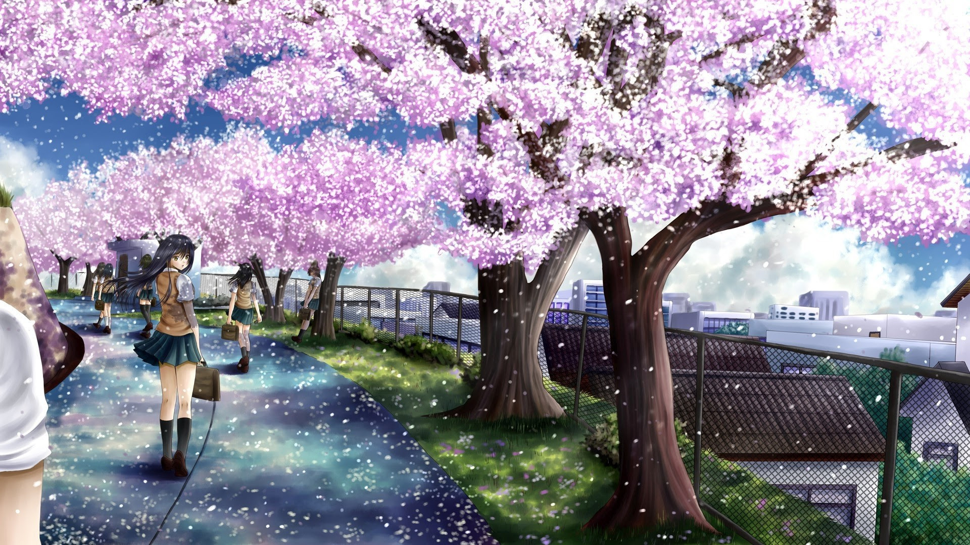 Cherry Blossoms Wallpaper - Image Gallery