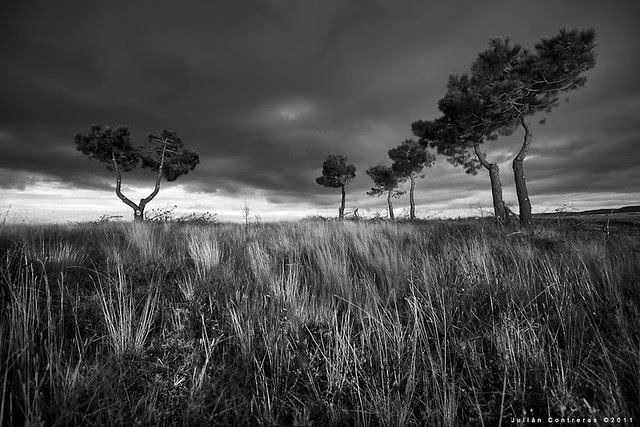EN ALGÚN LUGAR DE CASTILLA