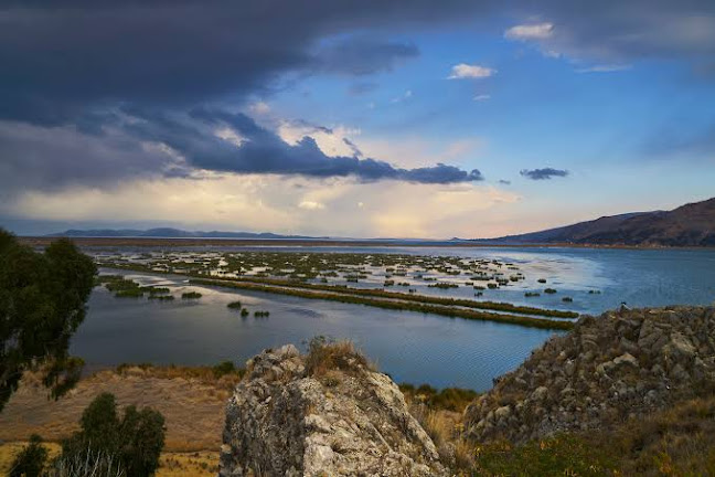 Isla Esteves s/n Lago Titicaca Puno, Sesquicentenario, Puno, Perú