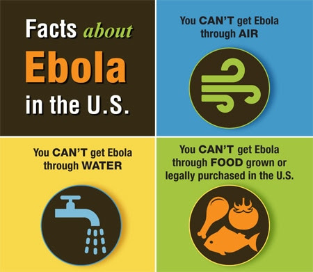Fact about Ebola Virus infographic