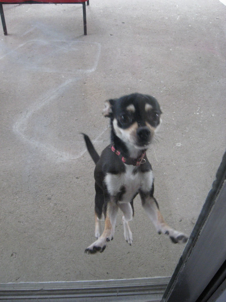 Chloe JUMPING