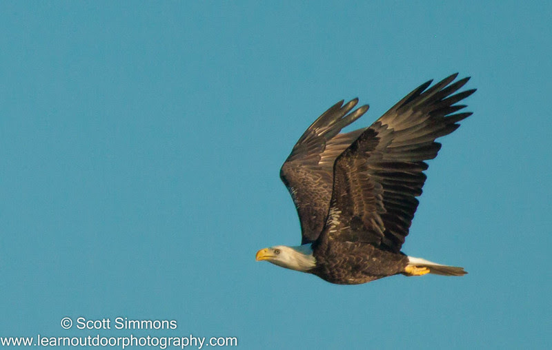 Photo & Video Sharing by SmugMug Photo & Video Sharing by SmugMug