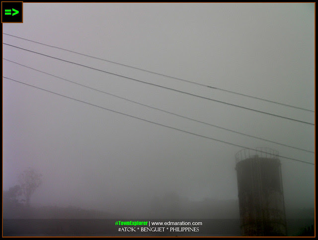 Gross Fog in Atok makes it the closest picture of a real White Christmas.