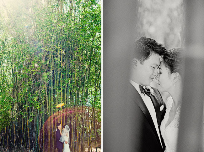 wedding portraits in bamboo