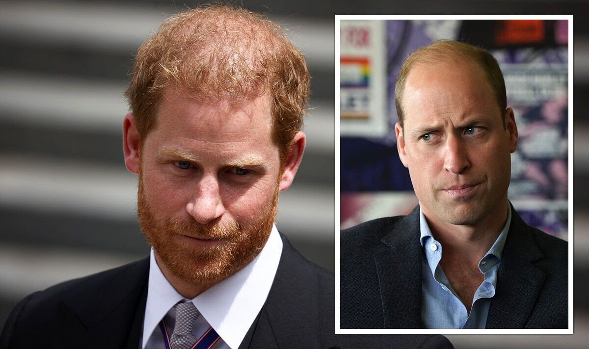 Harry SHOULD apologise to William but ‘too late’ to repair trust - poll