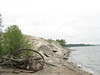 Remains