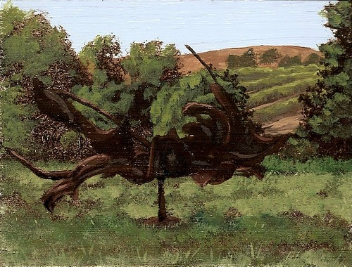 "Spinning Metal Dragon At The Di Rosa Preserve"