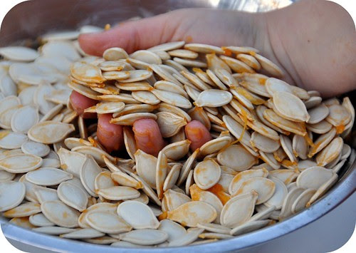 Pumpkin Seeds