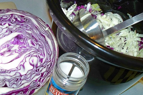 Sauerkraut.. The Elixer of Life!