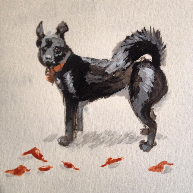 Working on a gift for a kind neighbor. #petportrait #dog #painting #meandwee #gouache
