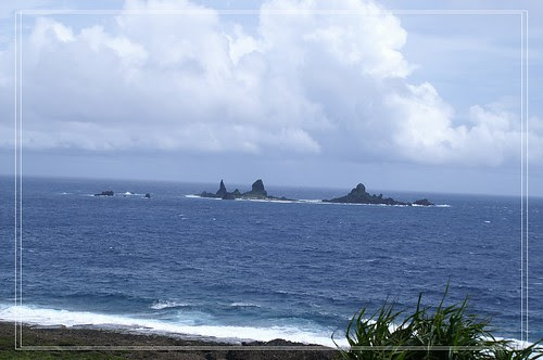 PICT5534