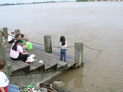 Mississippi near flood stage