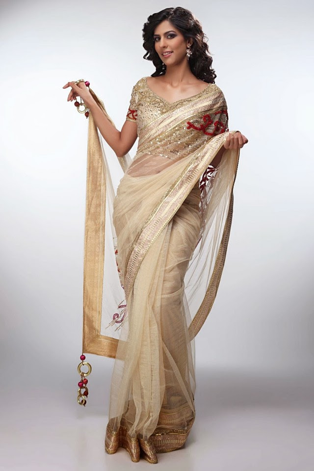 Bridal-Wedding-Formal-Casual-Party-Wear-Sarees-Dress-New-Fashion-Sari-for-Brides-by-Designer-Satya-Paul-13 Bridal-Wedding-Formal-Casual-Party-Wear-Sarees-Dress-New-Fashion-Sari-for-Brides-by-Designer-Satya-Paul-13