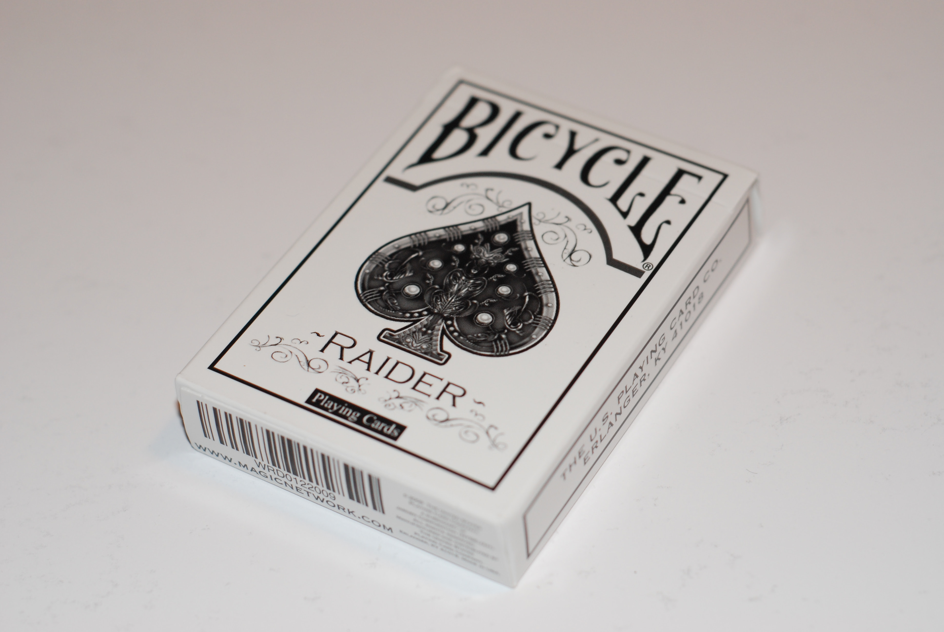 Bicycle Raider