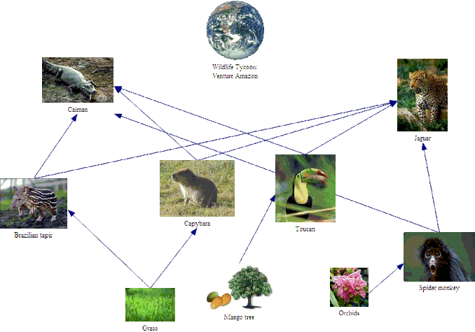 Capybara In Food Web