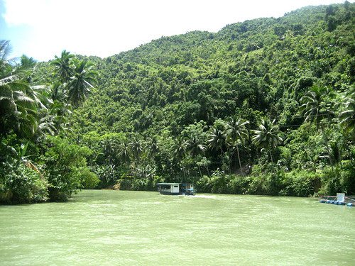 The Majestic Loboc River
