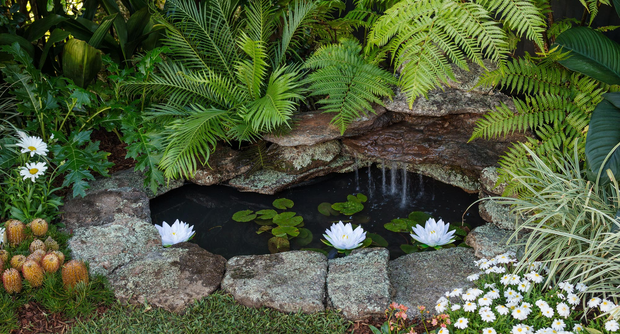 Build A Stunning And Serene Backyard Pond Better Homes And Gardens