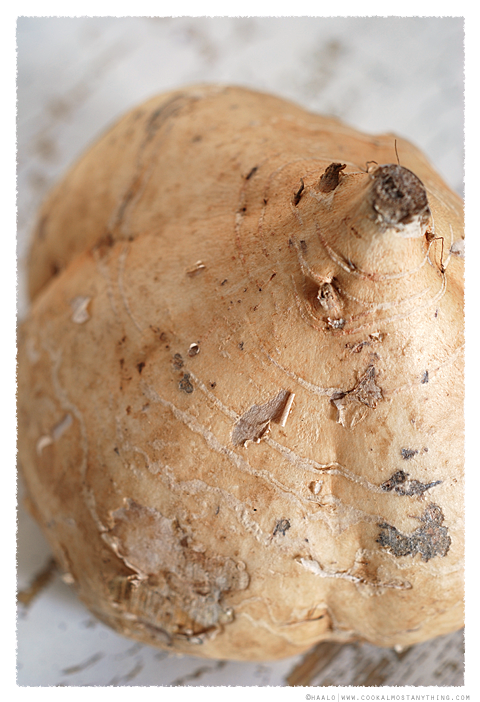 jicama© by Haalo