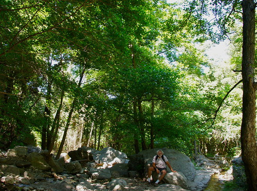 DSC09237