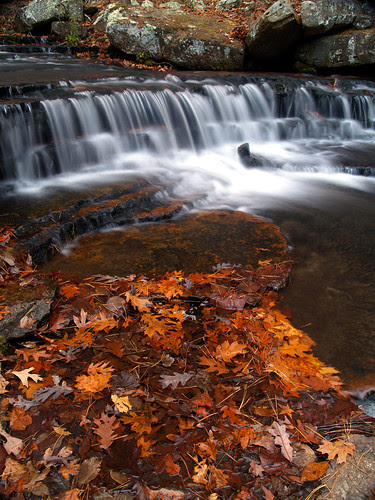 Fall at Collins Creek