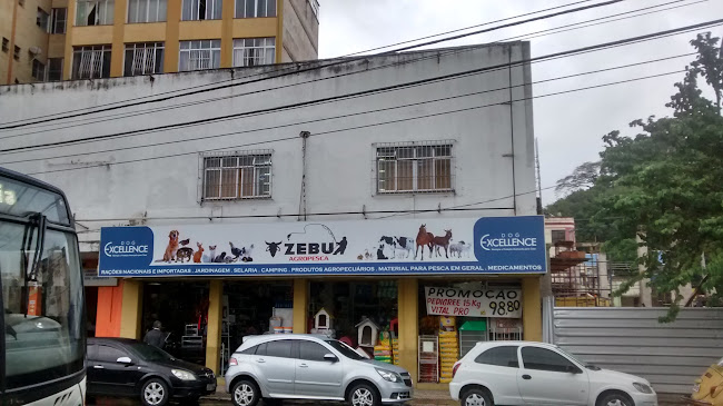 Zebu Agropesca