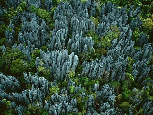 Taman Nasional Tsingy de Bemarah Taman Nasional Tsingy de Bemarah