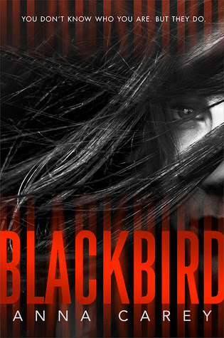 Blackbird (Blackbird, #1)