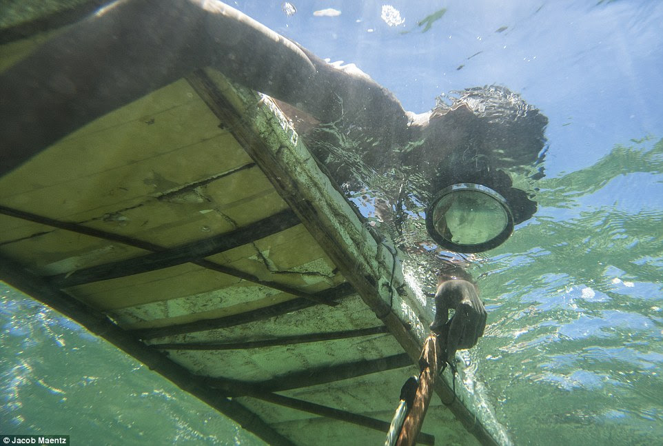 Using floating balsas and wearing goggles to see underwater, the men lure octopuses from the depths before hooking them on to a jig to capture them