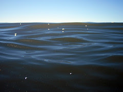 pacific_2424_1 web