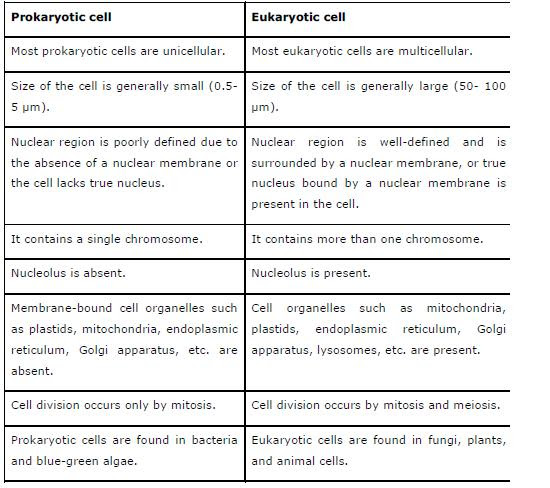 NCERT Solutions for Class 9th Science Chapter 5 The Fundamental Unit of Life