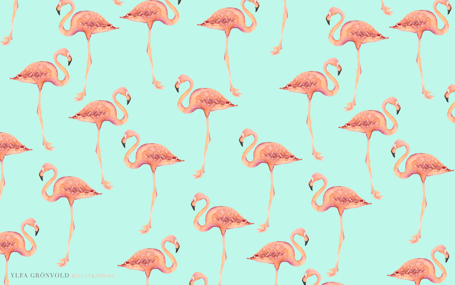 Flamingo Wallpaper