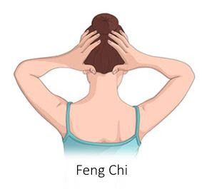 Feng Chi Acupressure Point