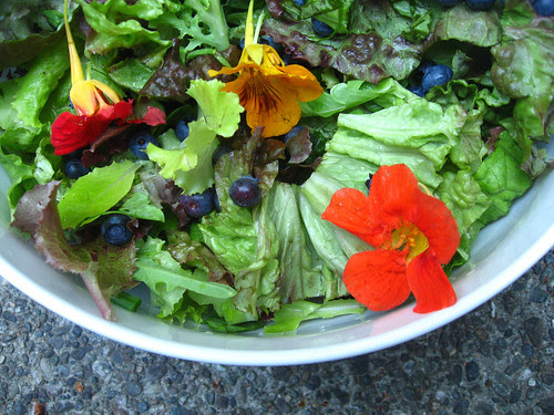 salad tonight