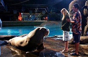 50firstdates