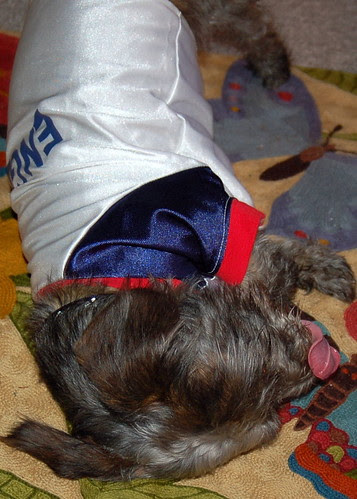 6.25.06 Dog down on the pitch