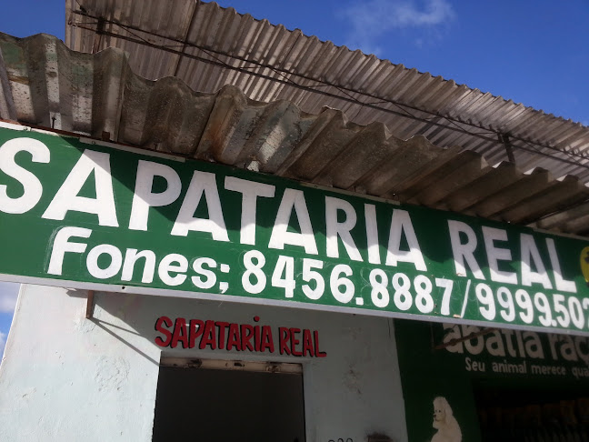 SAPATARIA REAL