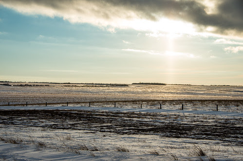 prairies in winter