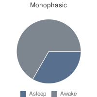 Image:Monophasic.png