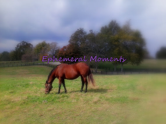 4eupheral