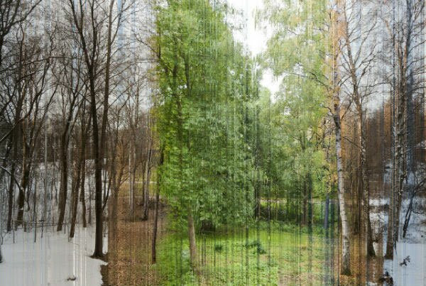 Фотографии, на которые невозможно смотреть равнодушно