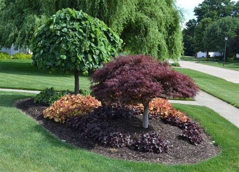 10 Cheap Landscaping Ideas Budget Friendly Landscape Tips 10 Cheap Landscaping Ideas Budget Friendly Landscape Tips