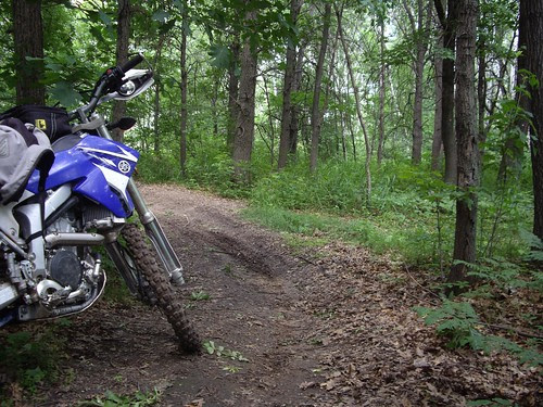 Playing with my WR250R off-road
