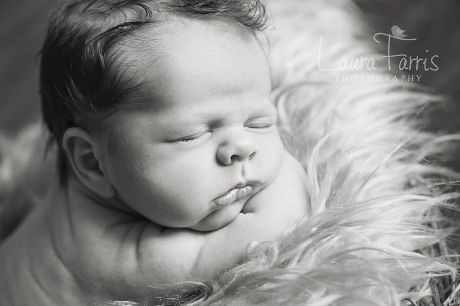 Boise newborn photographer