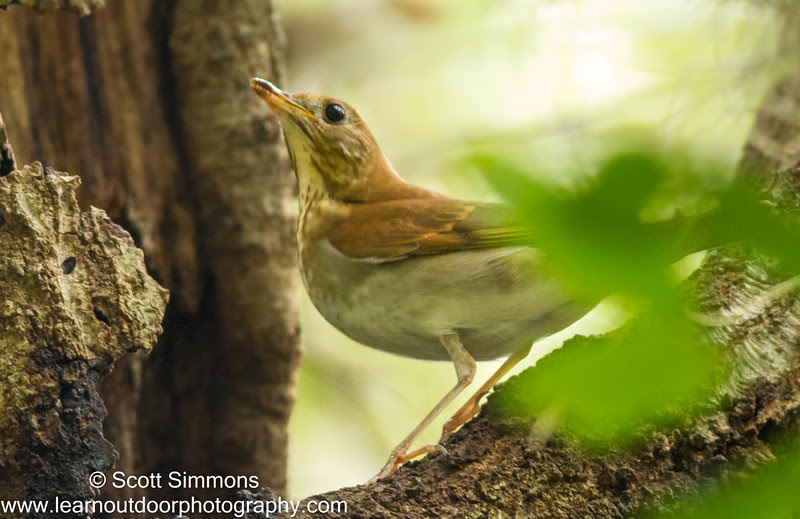Photo & Video Sharing by SmugMug Photo & Video Sharing by SmugMug