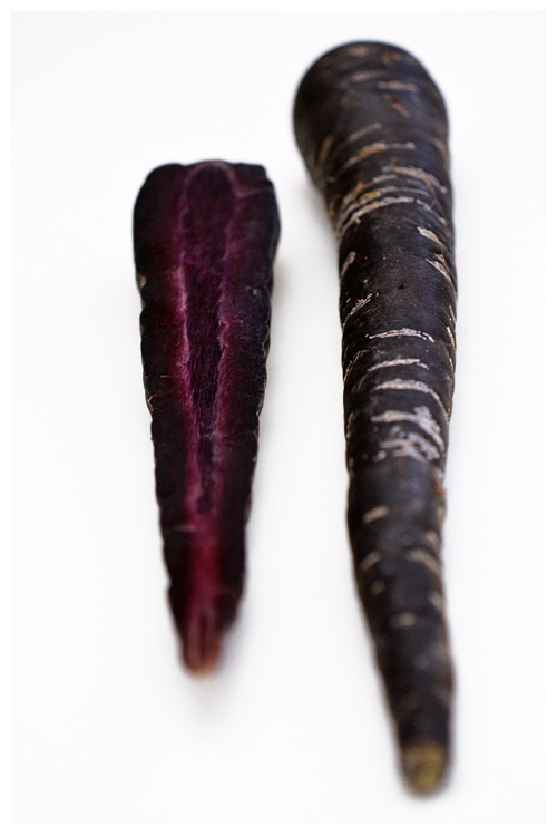 purple carrot© by Haalo